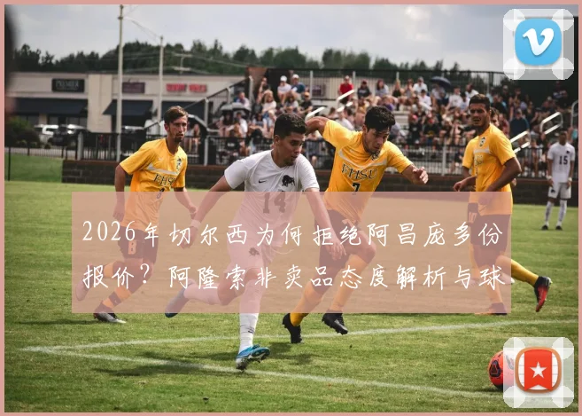2026年切尔西为何拒绝阿昌庞多份报价？阿隆索非卖品态度解析与球员转会前景